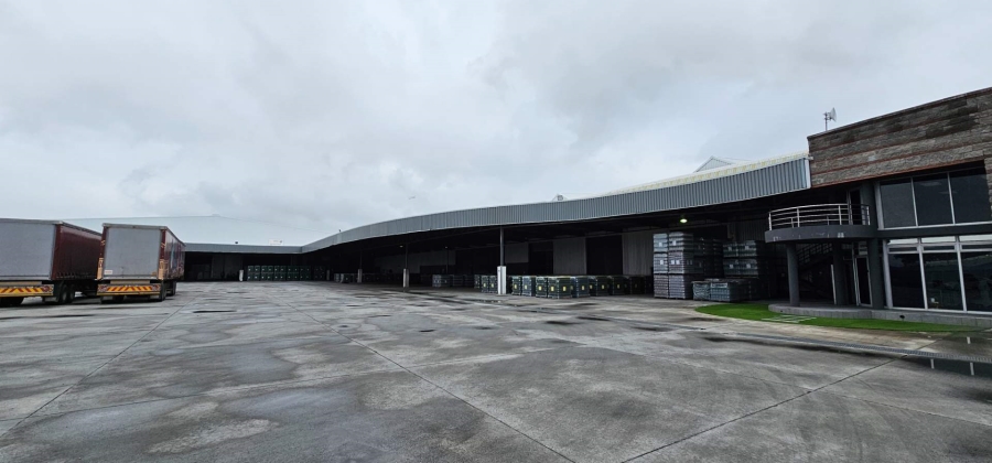 To Let commercial Property for Rent in Parow Industrial Western Cape